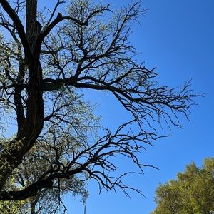 Meet your Posher, El